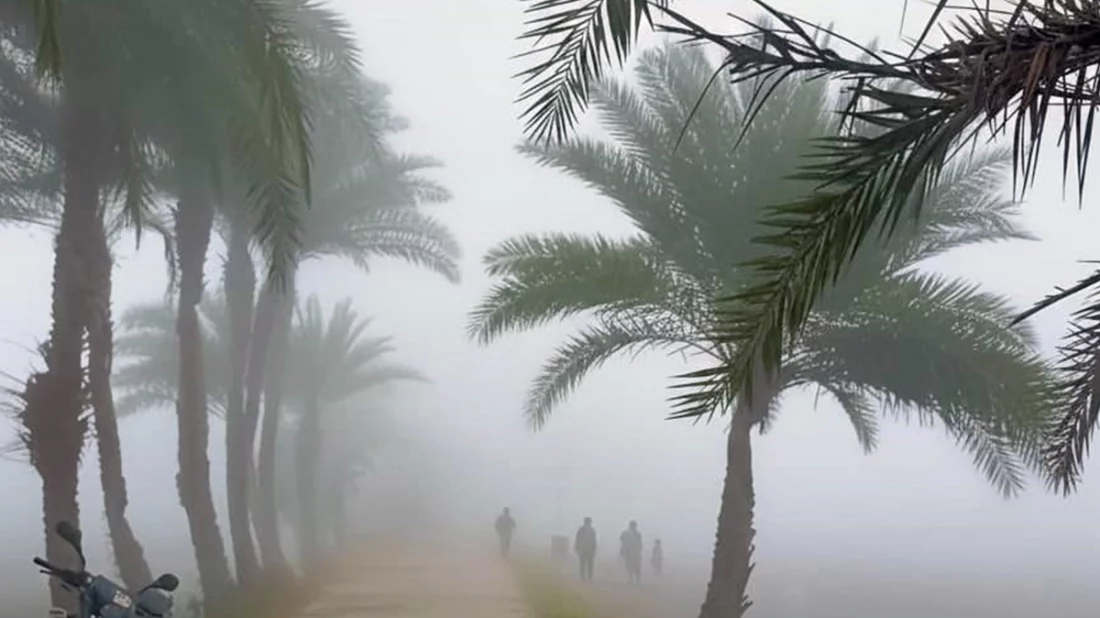 কুয়াশা মোড়ানো শীতের সকালে উত্তরবঙ্গ