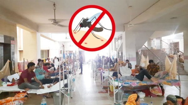 ডেঙ্গুতে আরও ৭ জনের মৃত্যু, দেশে প্রাণহানি ১৭১